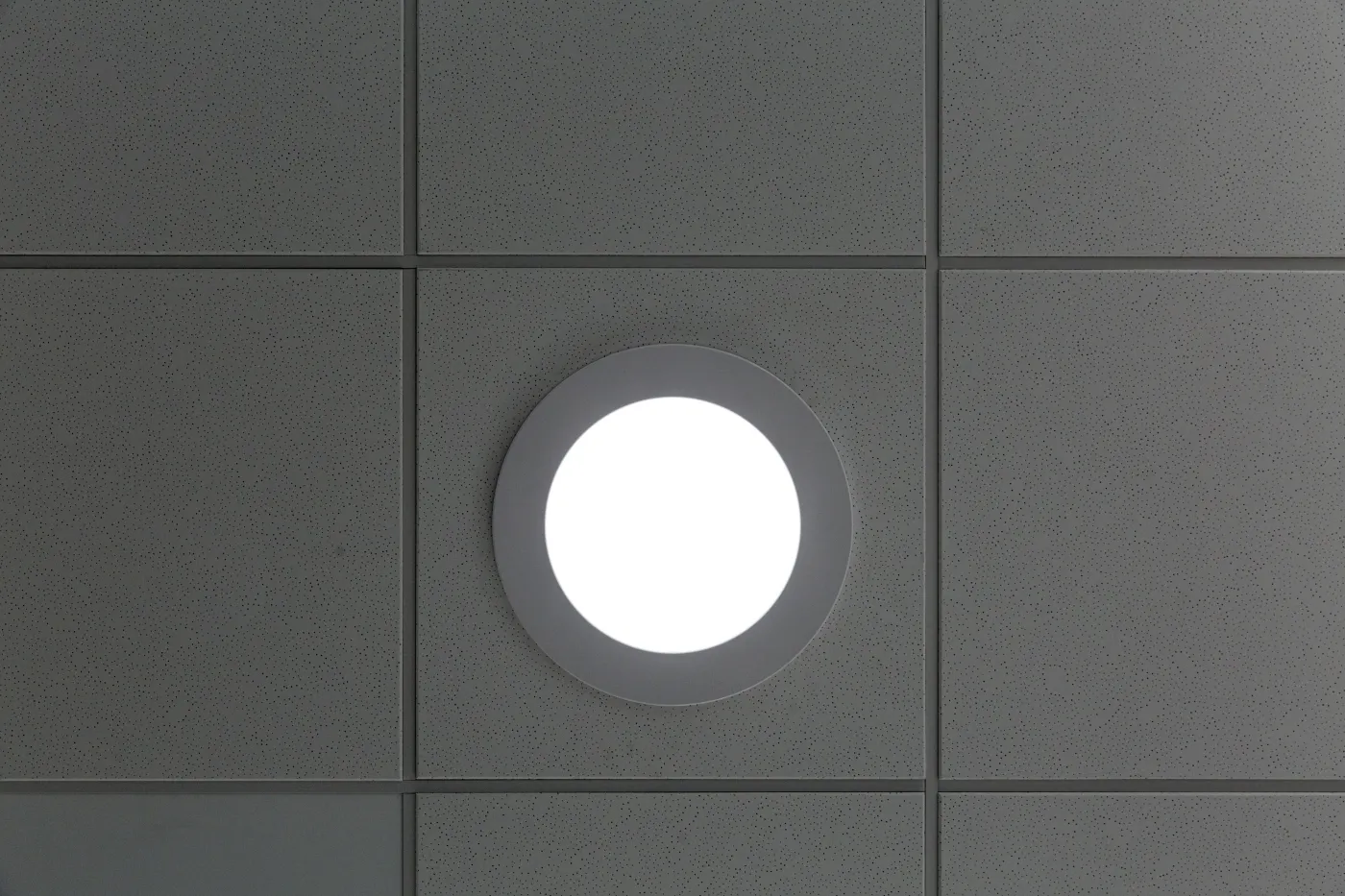 ZRD_RS_Feralpi_5.Bild