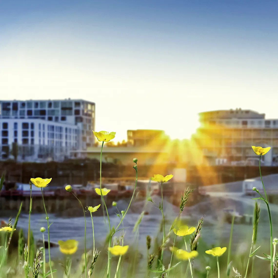 LP-KACHEL_06-2024_ecoSolutions_1140x1140px