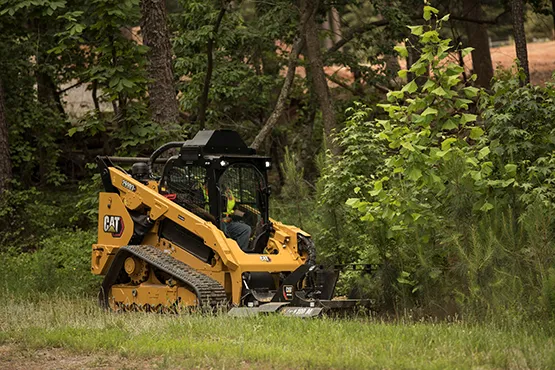 Zeppelin_Cat_299D3_web