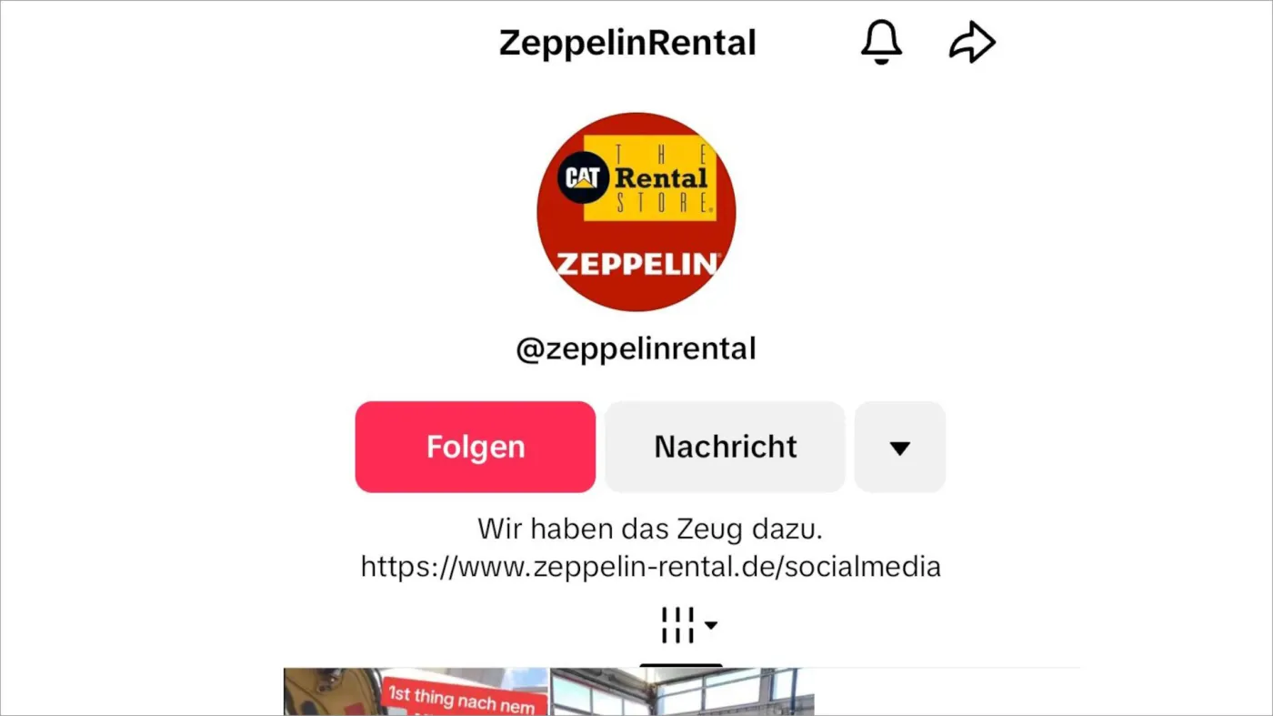 TikTok Account Zeppelin Rental 